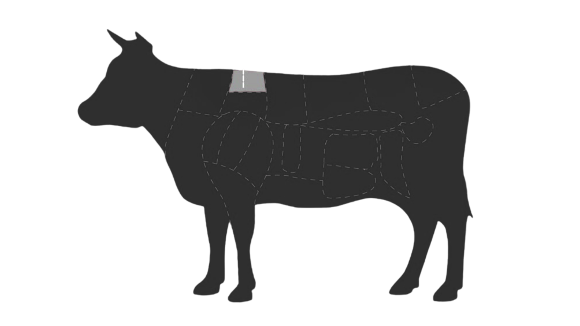 Rinderteil-Diagramm Entrecôte